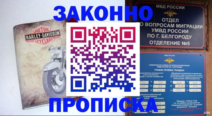 прописка для школы в Миллерово